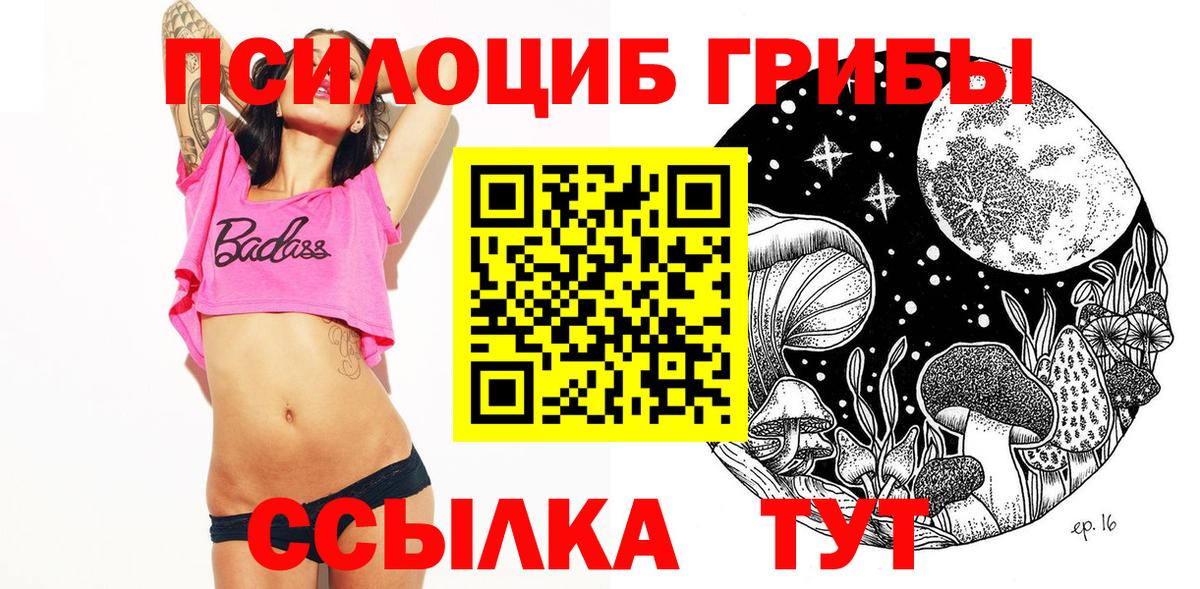 Галлюциногенные грибы прущие грибы Верхняя Пышма