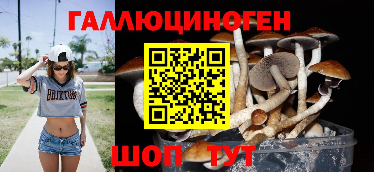 Верхняя Пышма  продажа наркотиков  Вход с VPN  Галлюциногенные грибы прущие грибы  Галлюциногенные грибы Magic Shrooms 